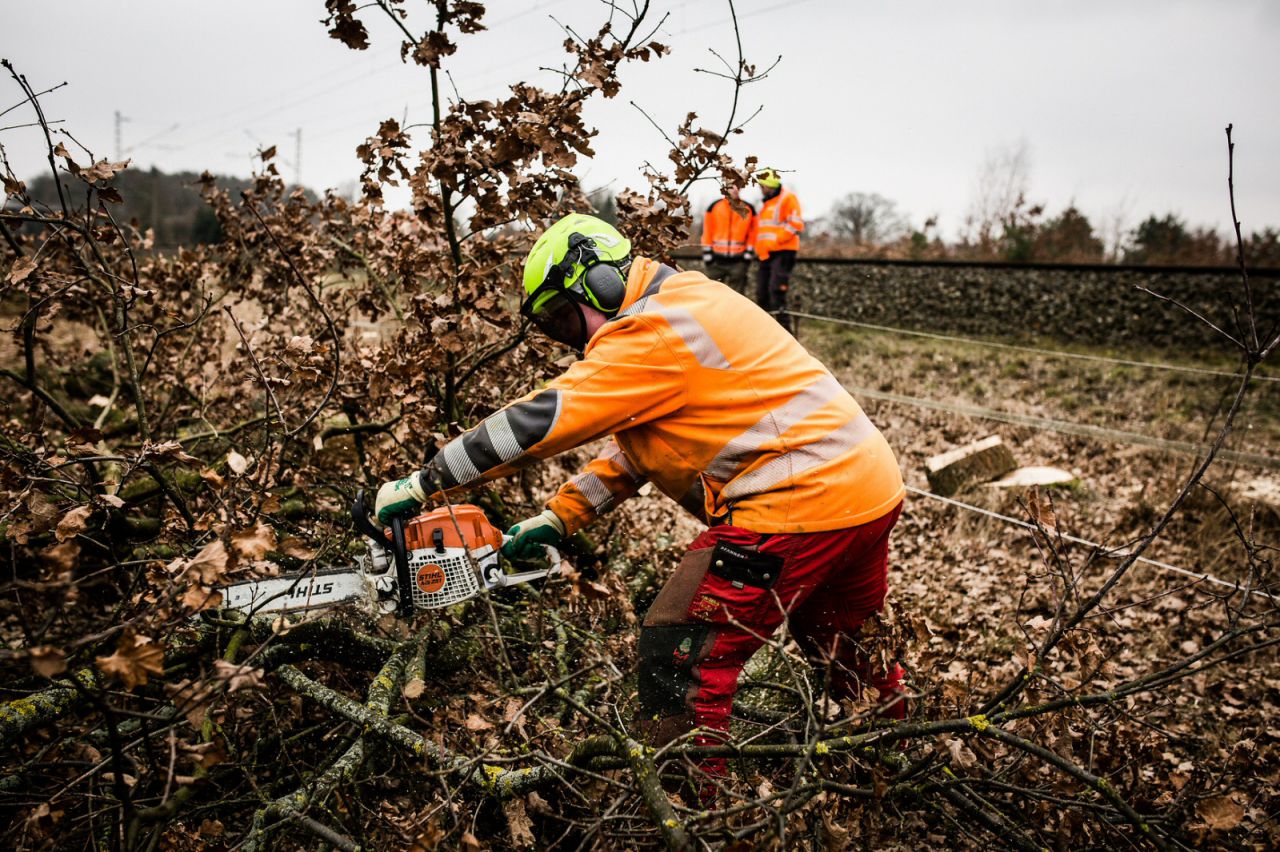 Vegetationsarbeiten