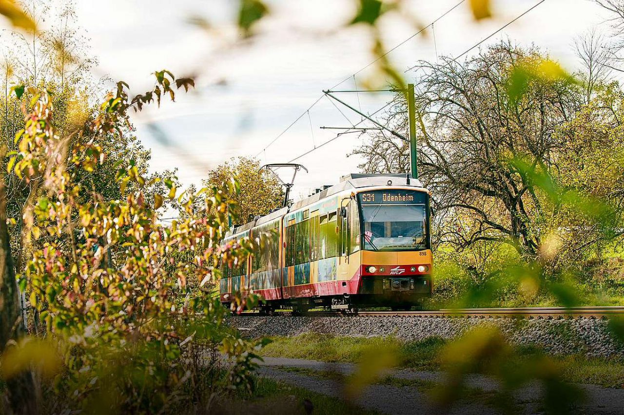 Die Linien S31 und S32 sind zwischen Bruchsal Bahnhof und Menzingen Bahnhof bzw. Odenheim Bf. unterbrochen